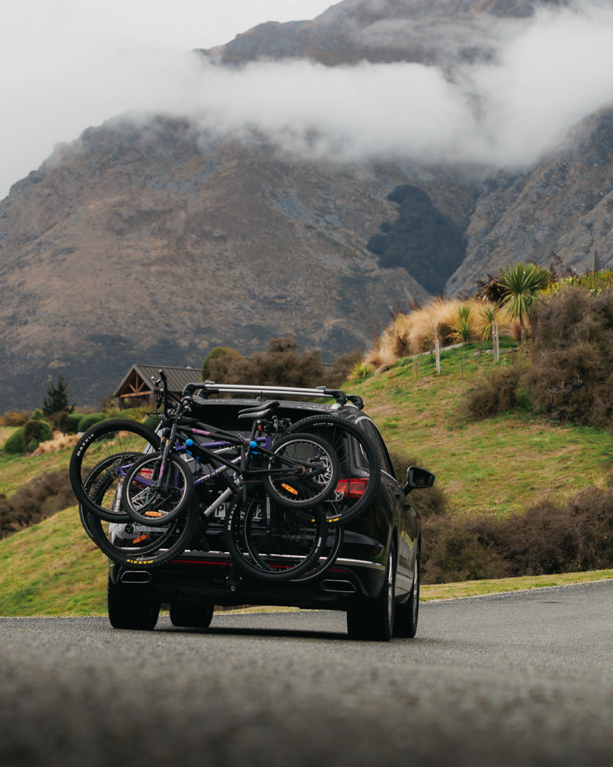 An Advantage 4 bike rack is mounted to the towball of an SUV. There are 4 bikes strapped to the prongs of the Advantage 4 bike rack ranging from kids bikes to adult bikes